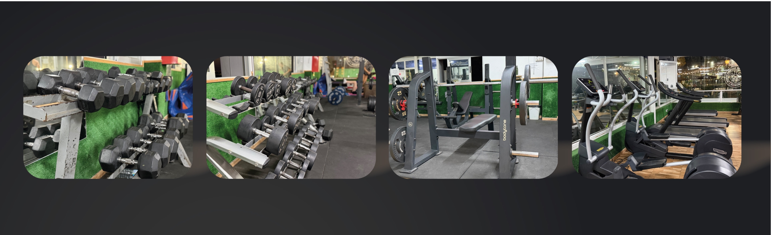 web gym 2
